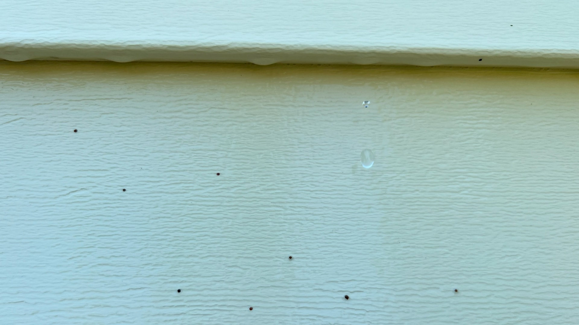 House washing banner