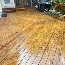 Deck Staining 4