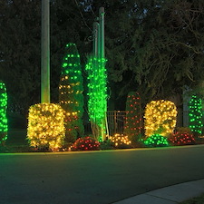 Holiday Light 6