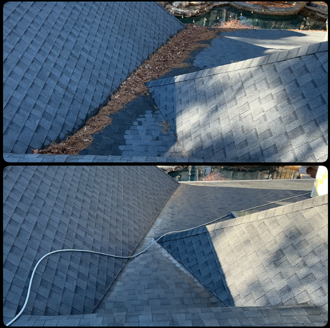 Gutter Cleaning & Roof Blow-off in Cary, NC